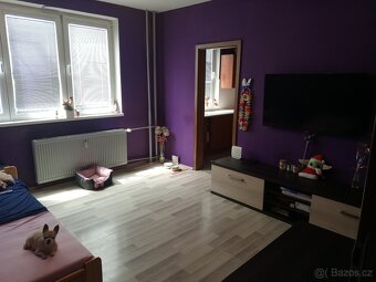 Prodej bytu 2+1 45.m2 Olomouc Nové Sady - 19
