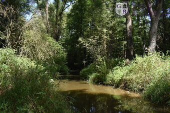 Prodej, pozemek s rybníky, Božetice - 19