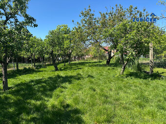 Prodej rodinného domu 3+1 Tasov / okres Hodonín/ - 19