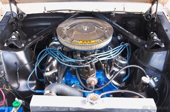 Ford Mustang 1966 - 19