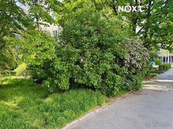 Prodej byt 3+kk, 70㎡ - 19