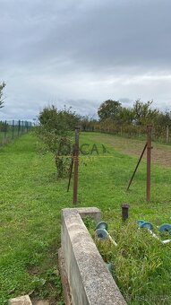 Pronájem rodinného domu v Moravanech u Kyjova - 19