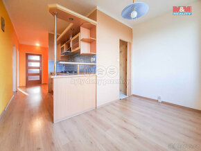 Prodej bytu 4+1, 76 m², Čížkovice, ul. Na sídlišti - 19