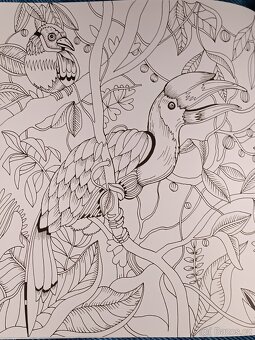 Omalovánky pro dospělé Exotický prales - 19