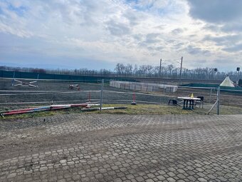 Zemědělská usedlost Horky, prodej nebo pronájem - 19