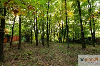 Prodej zahrady s chatou a navazujících pozemků v Bosonohách - 19