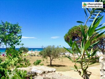 Prodej, pozemek, 602 m, , Česko - 19