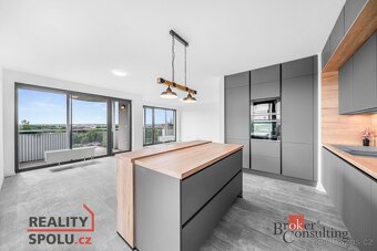 Pronájem, byty/4+kk, 118.49 m2, U Borského parku, Jižní Před - 19