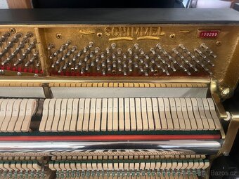 Schimmel se zárukou 2 roky,  doprava zdarma, PRODÁNO - 19