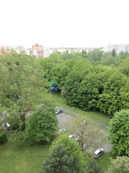 Podnájem bytu 2+1 59 m2, ul. Jasmínová 1616/3, Ostrava - Por - 19