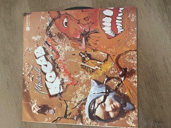 Gramo / Vinylové desky - 19