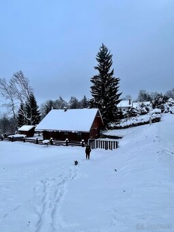 Kanadský srub na prodej - 19