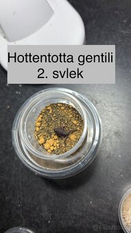 Štíři - aktuální nabídka říjen/listopad - 19