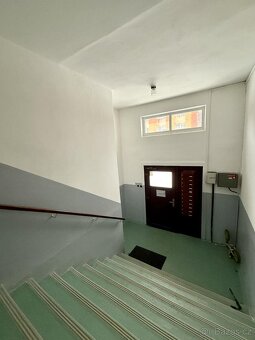 Pronájem bytu 2+1+L 55 m2 - 19