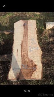 Fošny jasan,modřín ,XXL fošny - 19