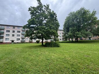 Prodej bytu 2+1 s balkónem, 52 m², os.vl., Havířov Město - 19
