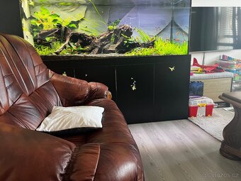 Akvárium cca 900litrů - 19