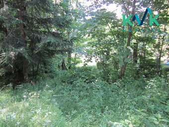 Prodej pozemku o velikosti 3 489 m2, v OV, Tisová u Nejdku - 19