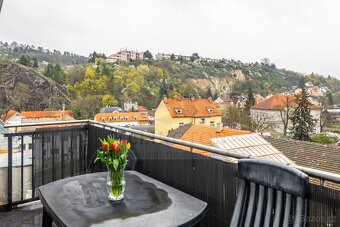 4+kk,235m2, Praha 5 - 19