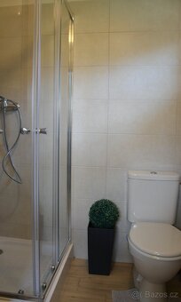 Prodej domu s pozemkem 390m2 - Praha 5 Lipence - 19