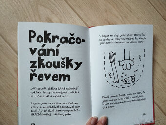 Víly nevíly,Já nejsem trapnej,Kouz.světýlka - 19