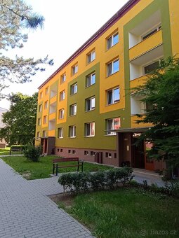 Prodám byt 3+1 - 19
