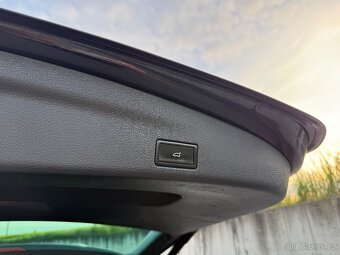 Seat Alhambra 2.0 TSI DSG - 19