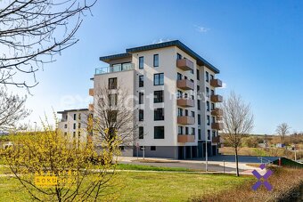 Prodej novostaveb bytů v developerském projektu 2+kk 82 - 91 - 19