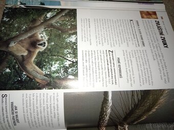 1000 Divů přírody - 19