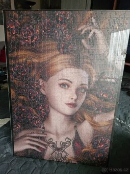 Obraz z puzzlí - 19