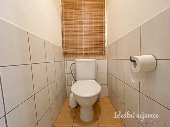 Pronájem bytu 2+1, Krásného, Židenice, 18 000 Kč/měs, 51 m2 - 19