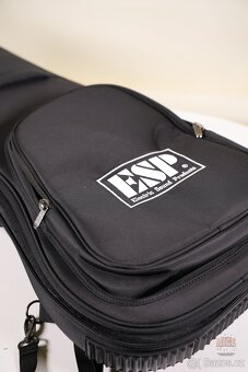 ESP STREAM MIKU CUSTOM - 19