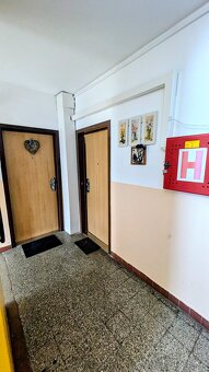 Byt 2+1 s lodžií v centru (52m2) - 19