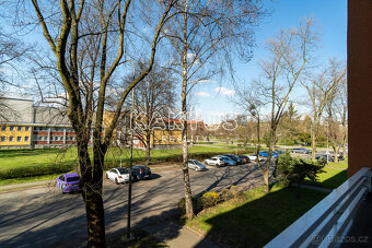 Prodej bytu 2+1 55 m2, ulice Dvořákova, Karviná - Nové Město - 19