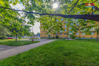 Prodej bytu 3+1, 62 m², Havířov, ul. Kollárova - 19