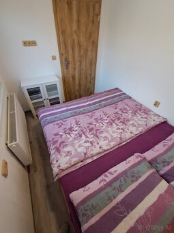 Domeček se zahradou - 19