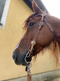 Výrobky z pravé kůže na přání - 19