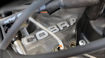 Ford Mustang Shelby GT350R Fastback 4.7 V8 - 19