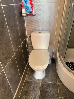 Prodej domu k bydlení i podnikání, dům s 5 bytovými jednotka - 19