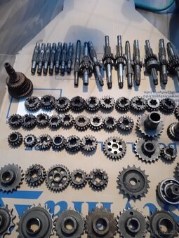 Prase 501/502 - 19