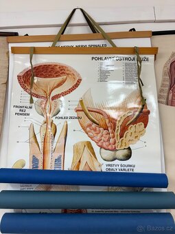 Školní mapy a výukové obrazy - 19