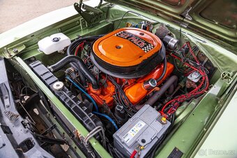 Dodge Charger R/T - 19