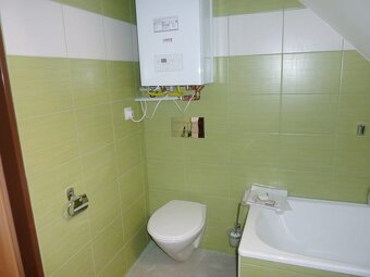 Prodej RD se 3 bytovými jednotkami, Božkovské náměstí, Plzeň - 19