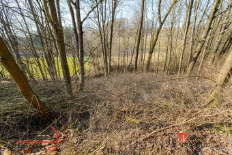 Prodej, pozemky/bydlení, 1694 m2, Sekerkovy Loučky, 51101 Mí - 19