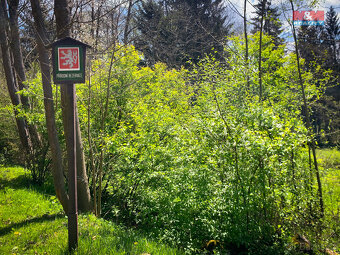 Prodej rodinného domu, 510 m², Kašperské Hory - 19