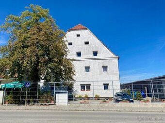 Bydleni Kaplice, Senioři - 19