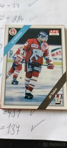 Hokejové karty extraliga ročník 1994,1995 - 19