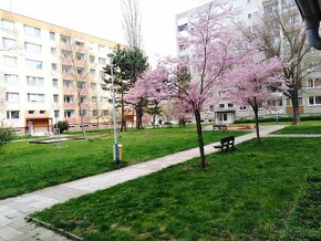 Prodej, DB 3+1, 70m² s balkonem, Břeclav - Charvátská Nová V - 19