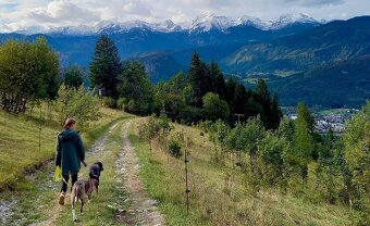 Dovolenka ze psem (alebo bez) v Slovinsku (Bohinj-Bled) - 19