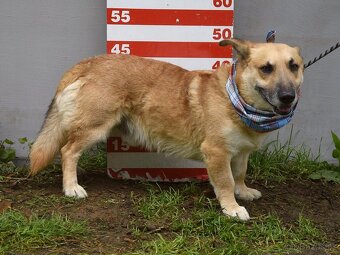 Odin hledá domov - 19